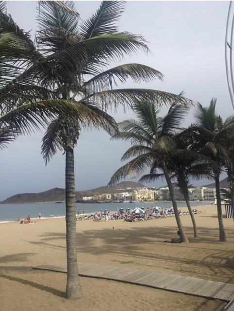 Las Canteras Beach 라스팔마스 외부 사진