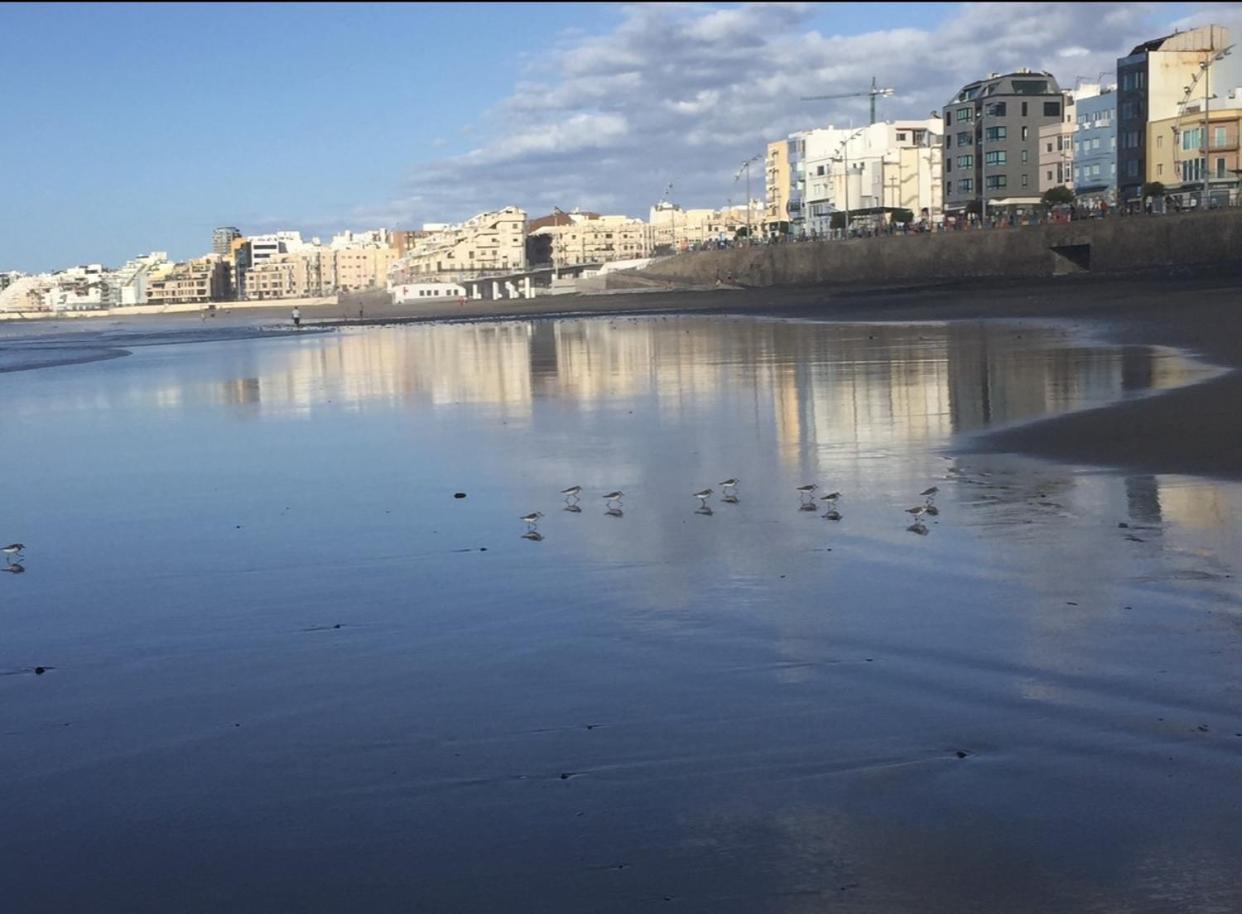 Las Canteras Beach 라스팔마스 외부 사진