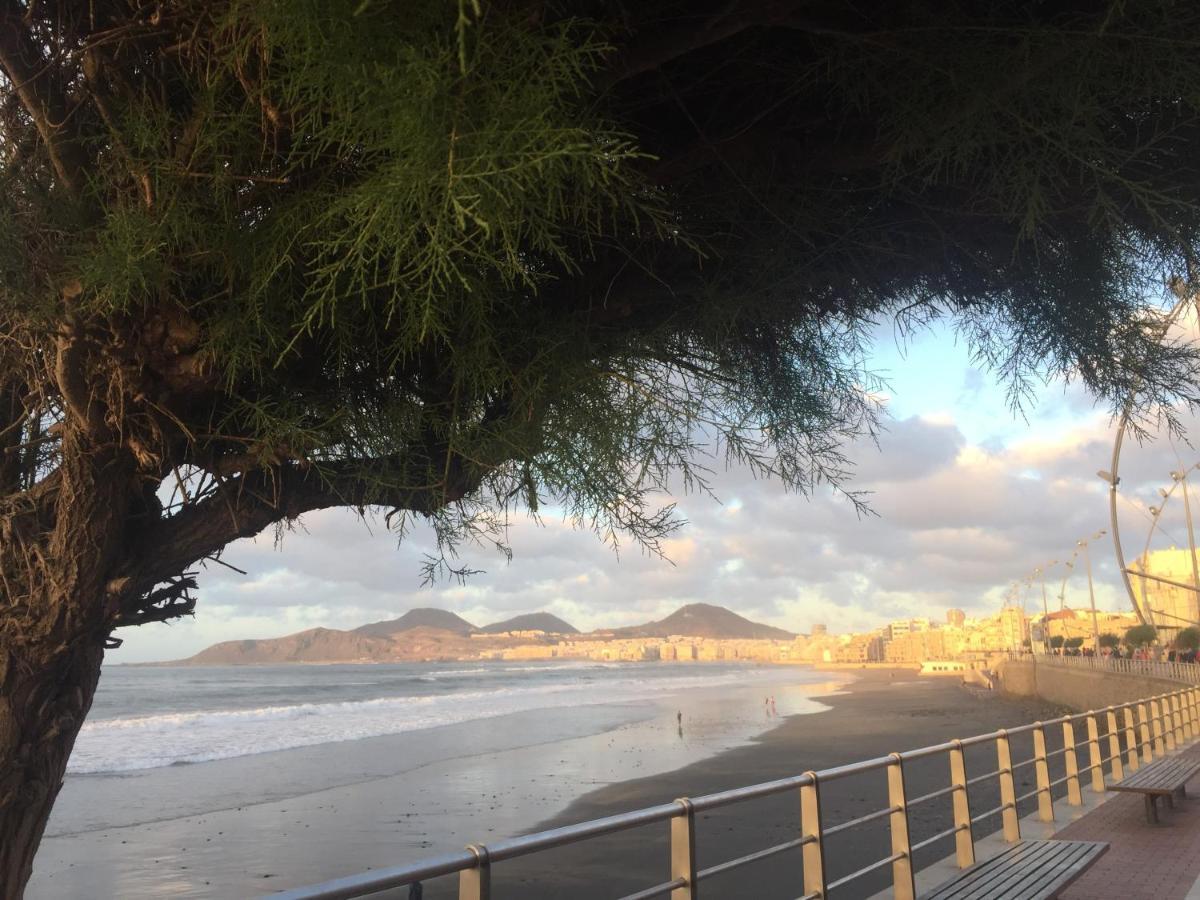 Las Canteras Beach 라스팔마스 외부 사진